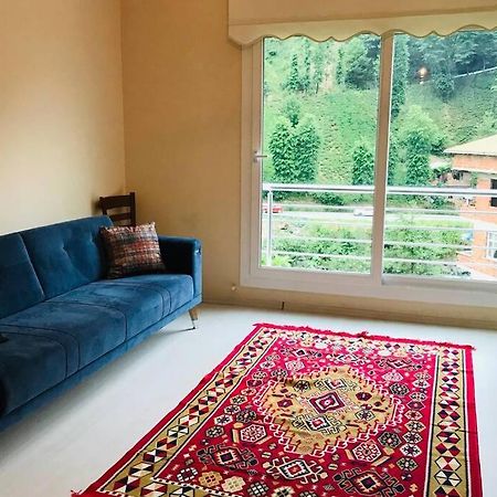 Appartement Seçer Apart à Çamlıhemşin Extérieur photo