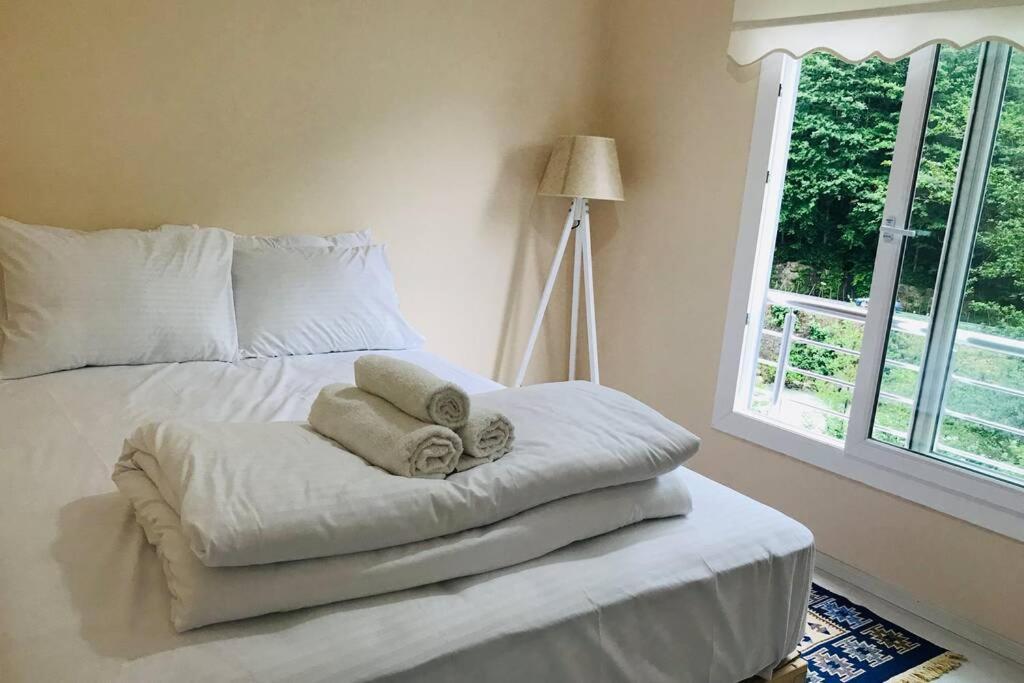 Appartement Seçer Apart à Çamlıhemşin Extérieur photo